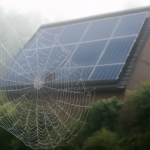 AI-illustratie bij: Zichtbaarheid van spinnenwebben op mistige ochtenden en de relatie met zonnepanelen in de tuin